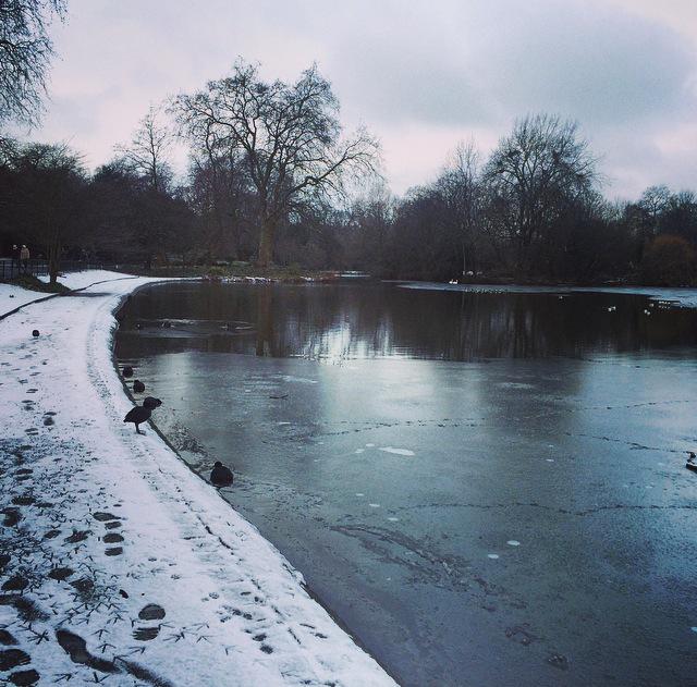 RachelPucill's tweet photo. #BatterseaPark ❄️❄️🐦🐤 http://t.co/qmFTjVZmil