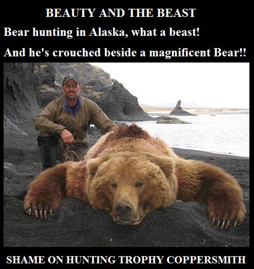 Какие медведи крупнее. Самый большой в мире медведь Гризли. Бурый медведь Кадьяк. Самый большой медведь Кадьяк 1200 кг. Аляскинский медведь Кадьяк.