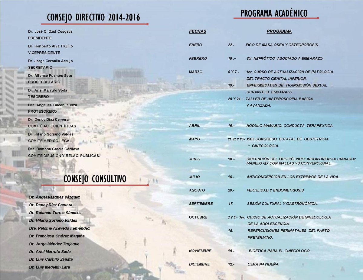 programa académico 2015