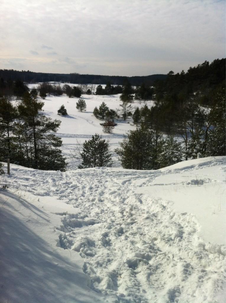 VivianORC's tweet photo. @NLPSIceCats @YRDSBoutdoorEd  @YRDSBGetOut Tracks of the great northern Gr. 7's - great job in the powder today!! http://t.co/HlUCN7Jl5H