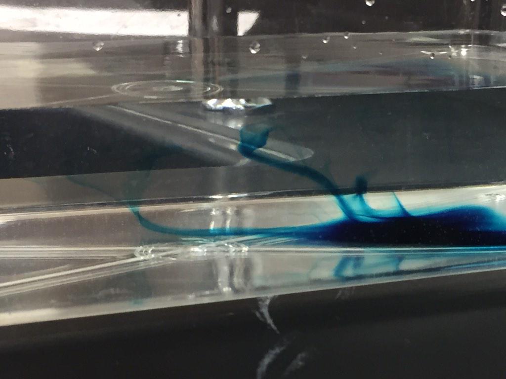 MasonZabrina2's tweet photo. Modeling coastal winds and upwelling of cold, nutrient rich water. #HBMSHawks #HBMSstem http://t.co/ZZwKcNI1gz