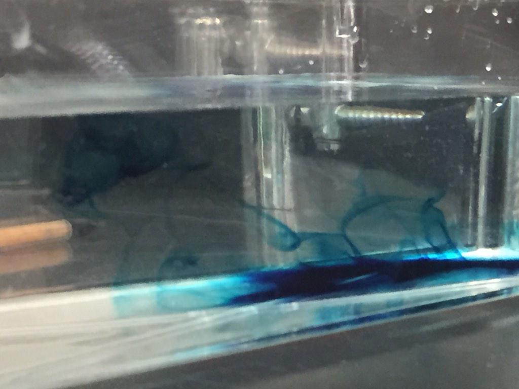 MasonZabrina2's tweet photo. Modeling coastal winds and upwelling of cold, nutrient rich water. #HBMSHawks #HBMSstem http://t.co/ZZwKcNI1gz
