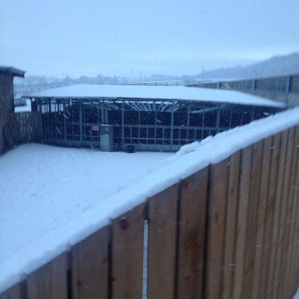 callum9409's tweet photo. Nice to have a bit of snow in Malton this morning ❄️ http://t.co/D2IpHceenD