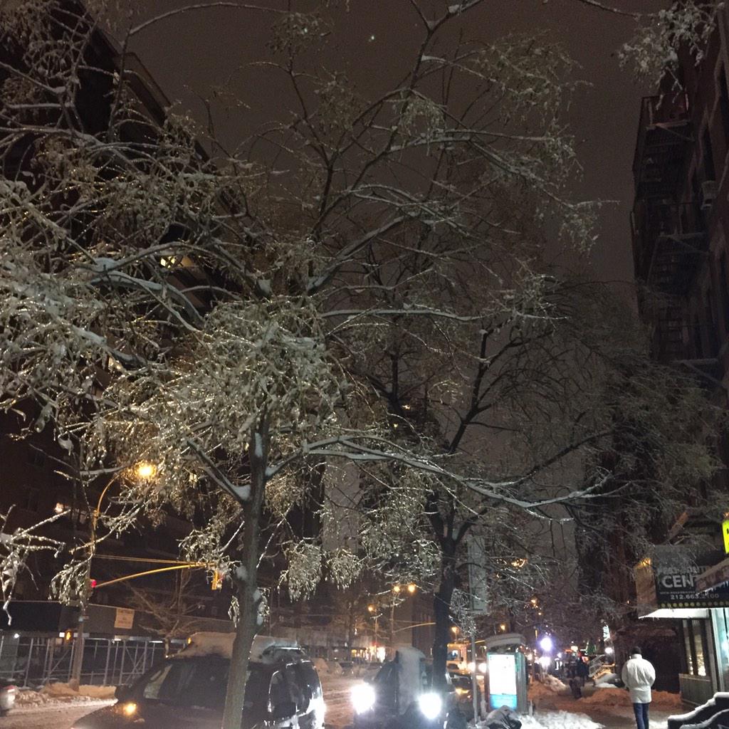 Aboutacircle's tweet photo. Winter in new york#beautifulnewyork#icetree http://t.co/gmyjP0BSNo