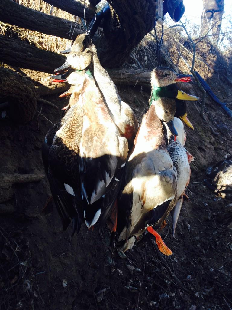 SWMOWinglockers's tweet photo. Who's missing it already!? http://t.co/mohzqrtEJx