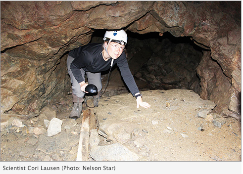 Canadian Geographic tweet media