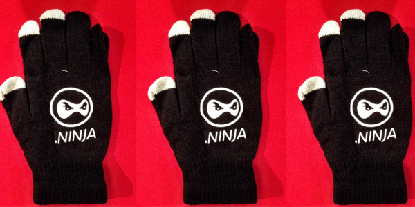 enom's tweet photo. Want a free .NINJA domain and gloves? Come to #NewTechEastside tonight, we'll be there with @rightside! #NewTechNinja http://t.co/i7IxpksHZu
