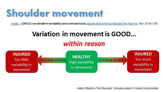 AdamMeakins's tweet photo. Variation in movement is NORMAL. Variation in movement is GOOD, within reason! #ShoulderCourse http://t.co/vHcGRMtNW5 http://t.co/xwdqwyQ5b7