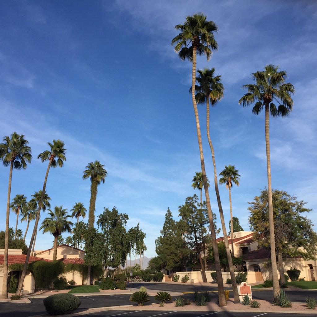 amylee926's tweet photo. Loving 72 degrees! #m5digital http://t.co/53nbGBTwSb