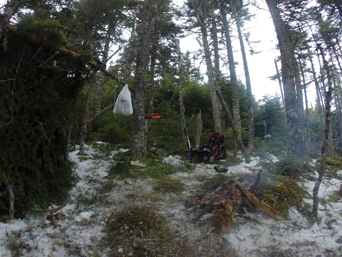 ABushcrafters's tweet photo. An evening with Bear in the NE Avalon woods @outsidemagazine @IndependentNL 
#R&amp;R #fire #outdoorliving http://t.co/FatR7oRiTY