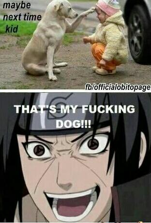 BasedMinato_'s tweet photo. It's Itachi's Dog!! http://t.co/grB3GsOcxL
