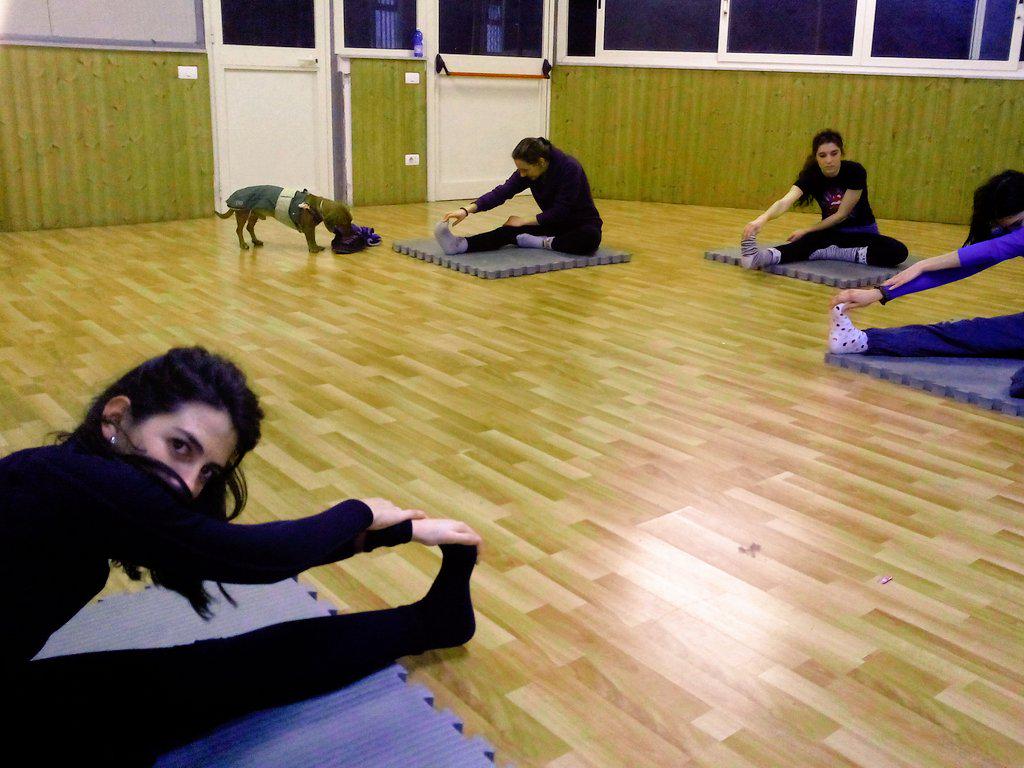 Poison_Kittens's tweet photo. PoisonKittens OFF SKATE... http://t.co/BDBVQdg8iF