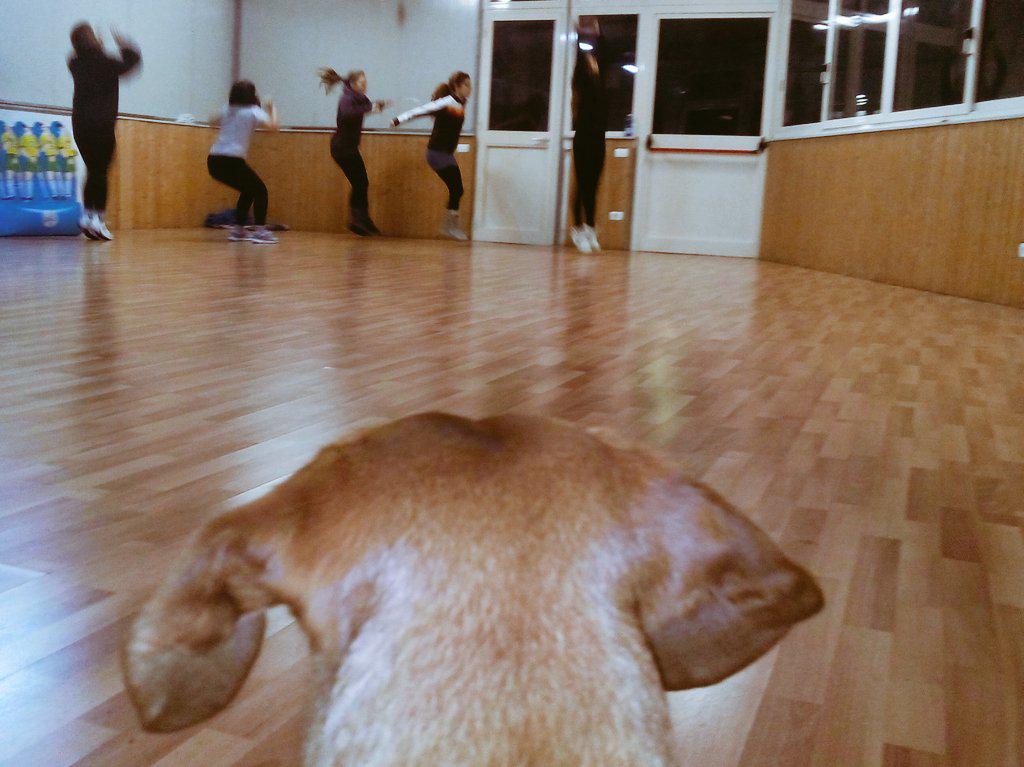 Poison_Kittens's tweet photo. PoisonKittens OFF SKATE... http://t.co/BDBVQdg8iF