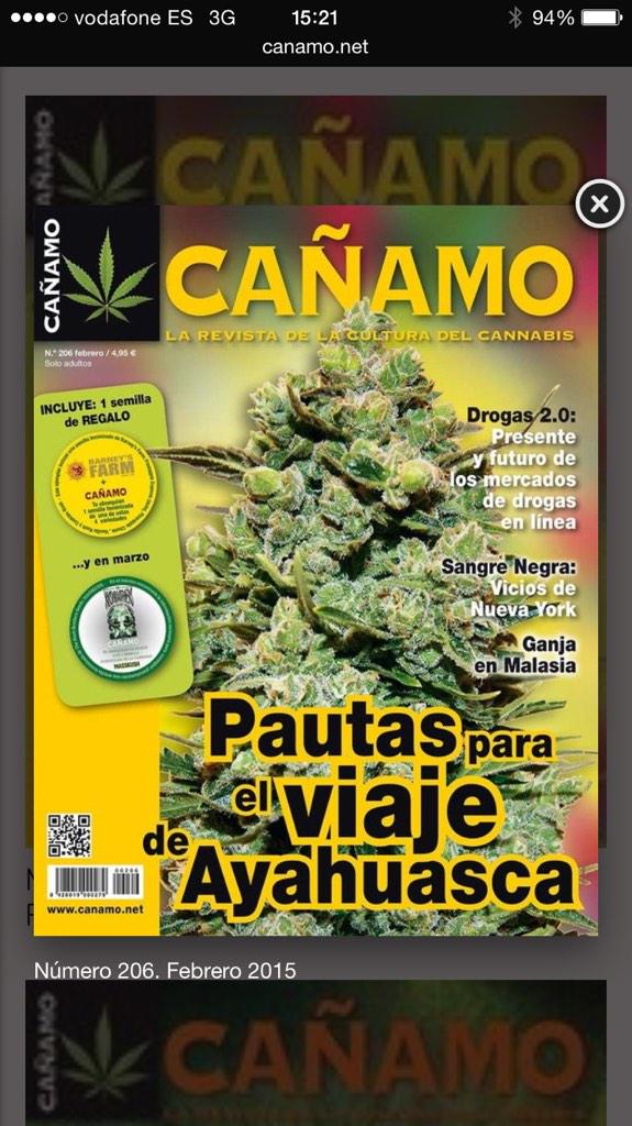 En la edición 206 de la <a href="/revistacanamo/">Revista Cáñamo</a>