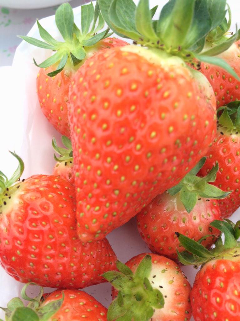 たける Sttakeru Twitter