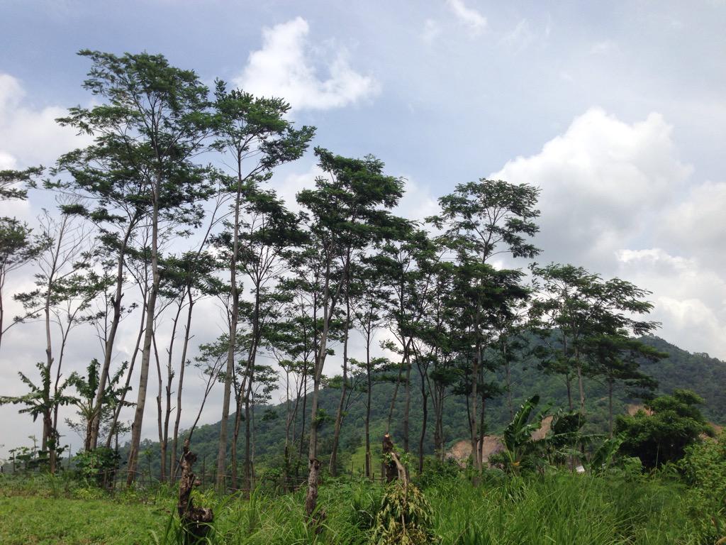 Perbukitan ini ada di Kecamatan Panjang Lho <a href="/bandarlampung/">LampungDirectory.com</a> <a href="/hagadipaID/">HagaDipa?</a> <a href="/cawageh/">Blog Anak Muda Lpg</a>