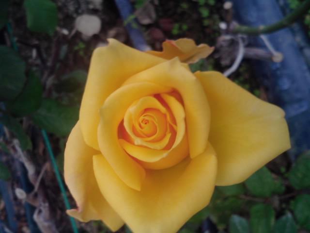 송선영 (@ssy9437) on Twitter photo 