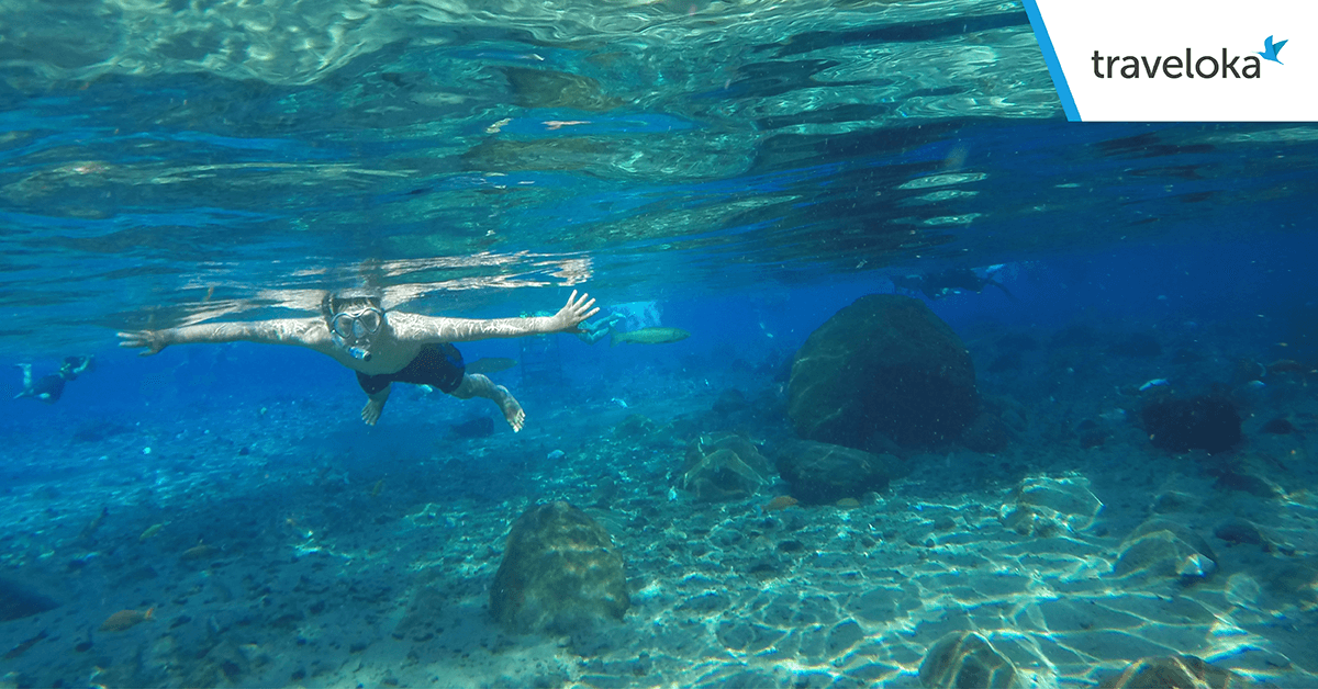 Ini bukan laut tapi kolam air tawar Umbul Ponggok di #Klaten, Jawa Tengah. ow.ly/HNE5l