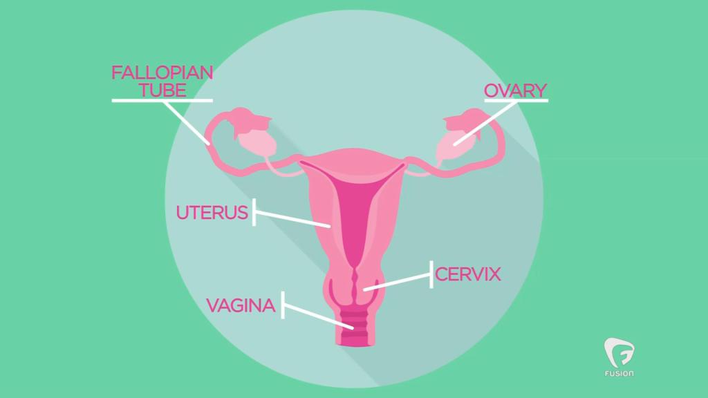 the HLBB blog tweet media