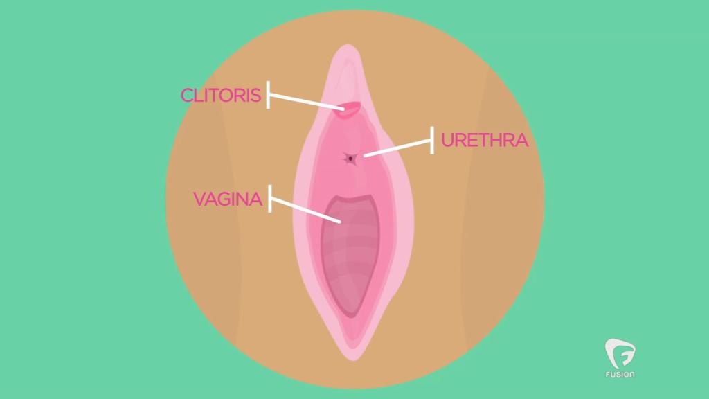 the HLBB blog tweet media