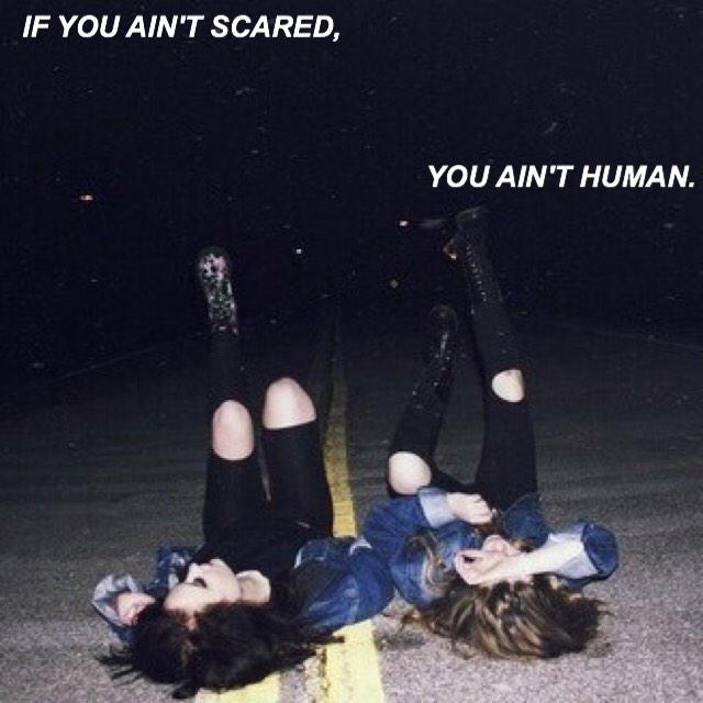 ALBY - The Maze Runner