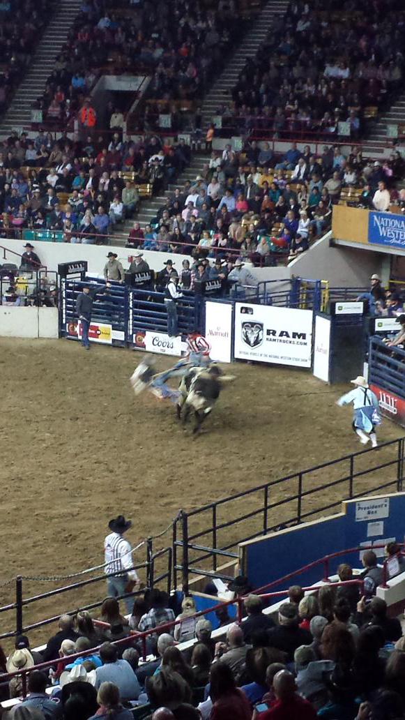 jacob_donohoue's tweet photo. #StockShow #CenturyLinkDonation http://t.co/VL9GYYaHGl