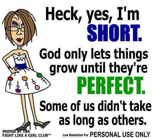 deniselynne1966's tweet photo. @B00kitty @dups127 @jenmastropaolo  love to my fellow shorties. #IReallyNeedToSleep 😘💗😙 http://t.co/ChWzm5xqlc