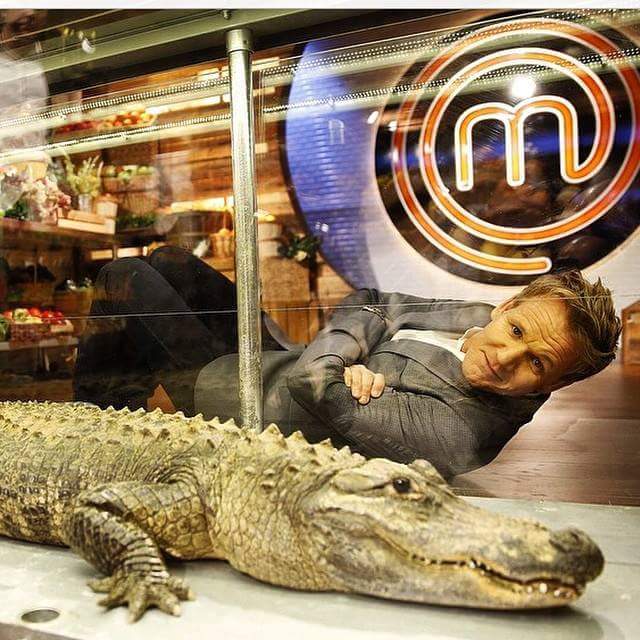 Dinner... Make it snappy..