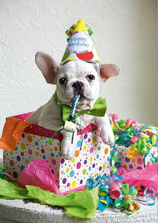 Happy Birthday have amazing day! 