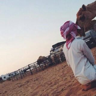 - خيبہ'ة مواليف ֆ ' tweet media