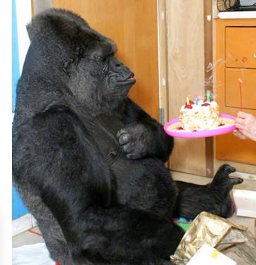 GaryForber's tweet photo. @briers6 @VickyHall33 @147dave @stuarthodson1 @BradClisham @mjb169 @ryancorbett92 @ @justcunliffe happy birthday me http://t.co/aHINDEcjiW
