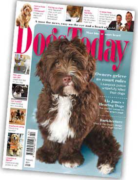 ChemsolDirect's tweet image. We are now listed on @Dogs_Today check us out here ...goo.gl/xmP5zL