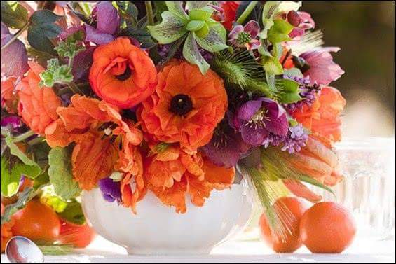 subtiIe's tweet photo. @DrSunitaMishra @kdshroff @KTSIKKA @prabirchak @bhatnagar1951 @ngp_pradeep @csparhadkar @ProfSuman @tiwary74 HpFriday http://t.co/eVCCf7ID3m