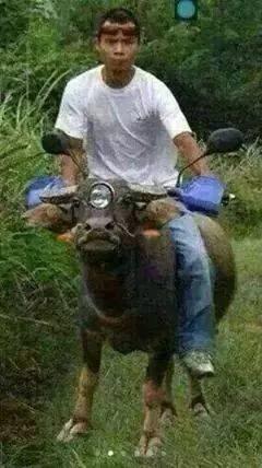 Junnelrams's tweet image. #newwest