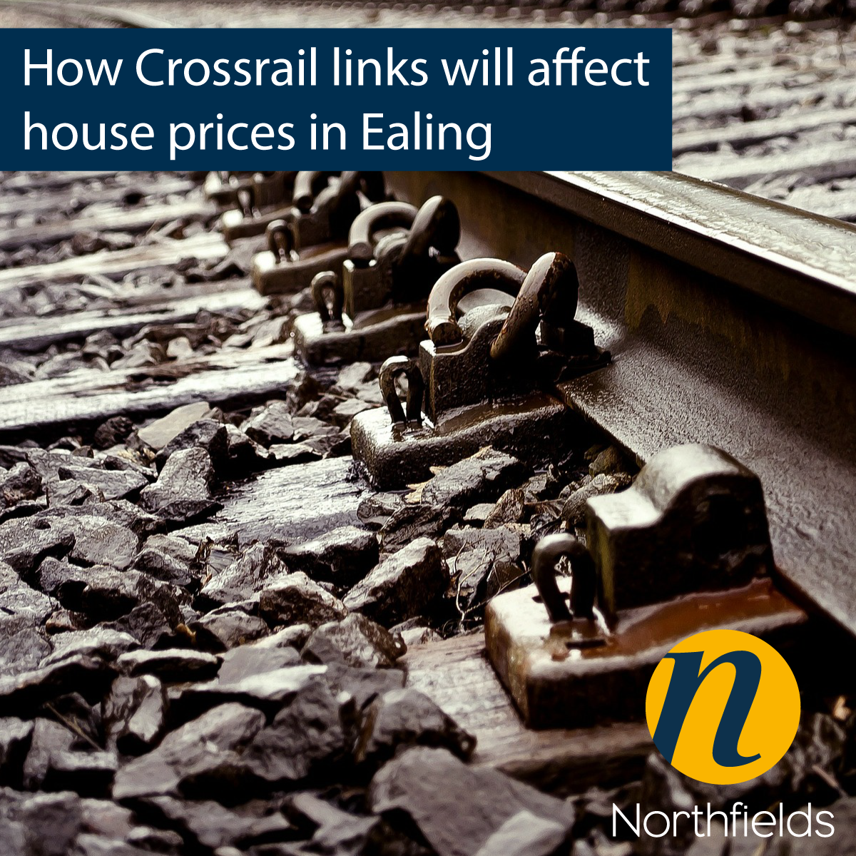 Nick Devonport tweet media