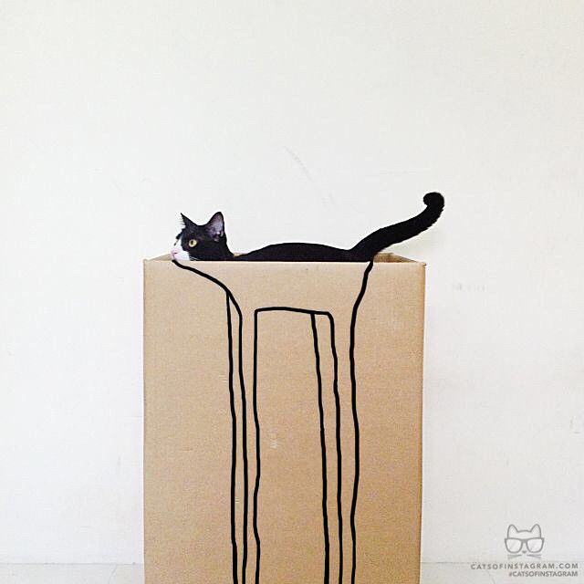 ohh_deer's tweet image. Ohh Deer... #cat #bag