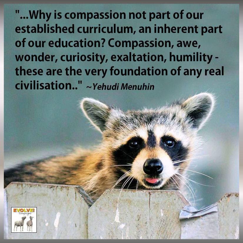 Jemsky_x's tweet image. &quot;Why is compassion not part of our established curriculum?&quot; #education #FactsheetFriday #curriculumchanges #vegan