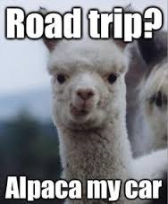 RealTimeInstall's tweet image. Who is going on a road trip this weekend? #roadtrip #weekend #cars #driving #FPSBS
