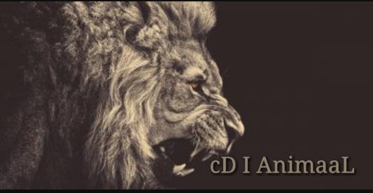 cDI_AnimaaL's tweet image. 