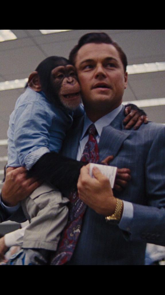LeoDiCaprioFanG's tweet photo. #wolf#from#walkstreet #LeonardoDiCaprio #LeoLovers #RT #follow#me http://t.co/468CFDkTNh