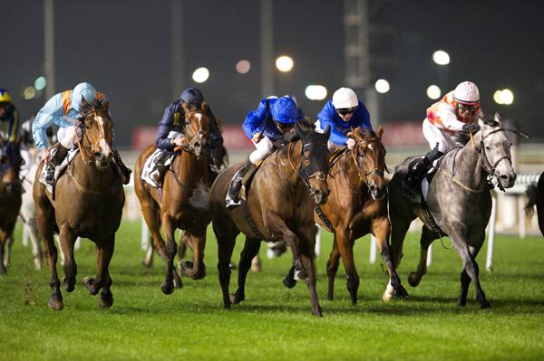 Eye In The Sky fights tremendously to take 4th in Gulfnew.com Handicap at <a href="/DRC_Meydan/">DRC_Meydan</a>
