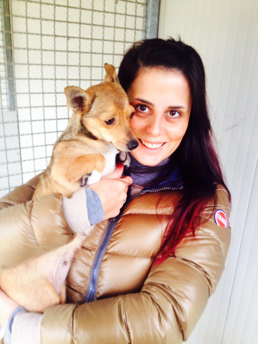 Ispirastorie's tweet photo. "Una nuova #vita per me e Gina" una storia difficile di una persona e un #cane #adozione -> http://t.co/2xVlrr5tIF http://t.co/ro6gXZF4J4