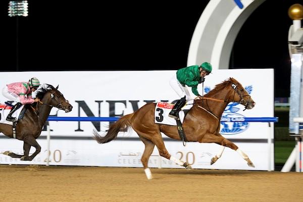 BEAT BABY WINS AT MEYDAN! <a href="/DRC_Meydan/">DRC_Meydan</a> First Dubai win for NP Racing.