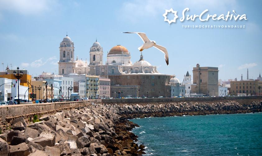 SurCreativa tweet media