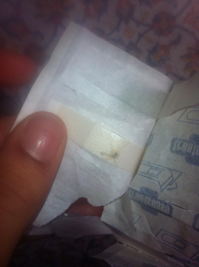 LeviBottrill's tweet photo. Treat &amp; ease plaster that is so sanitary it has got a #fly inside of it http://t.co/T3jBvh6WnG
