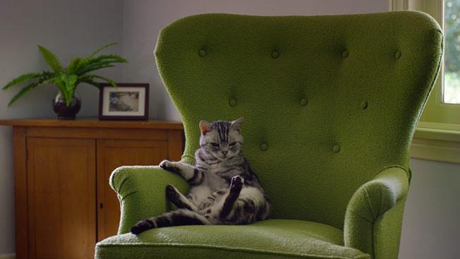 Adweek's tweet photo. All the ad news you might have missed in the past 24 hours: http://t.co/xC4UQeZOOi http://t.co/gF8oX5P5Bw