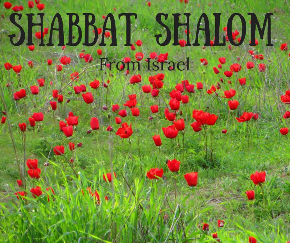 Israel ישראל 🇮🇱 on X: Shabbat Shalom from Israel - a peaceful weekend to  all.  / X