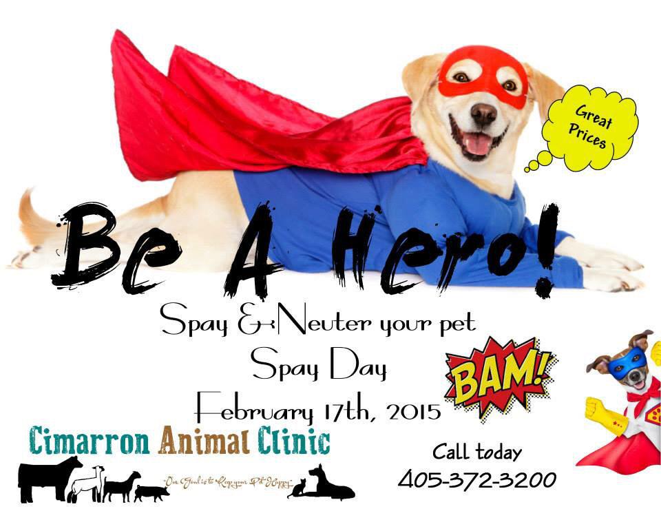 CimarronAnimalClinic (@Cimarron_Animal) / Twitter CimarronAnimalClinic (@Cimarron_Animal) / Twitter