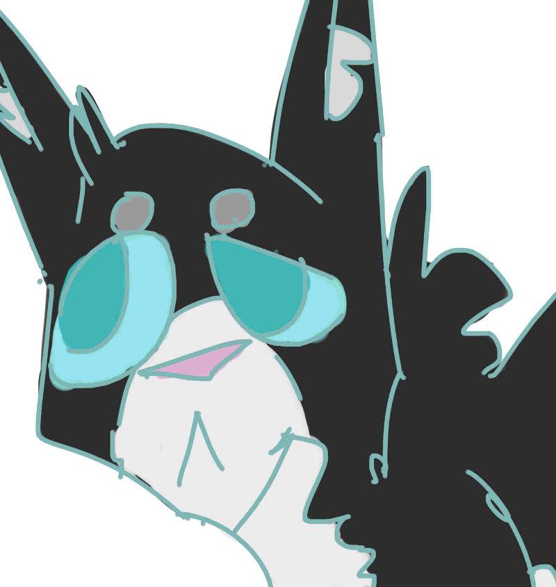 ScathCat tweet picture