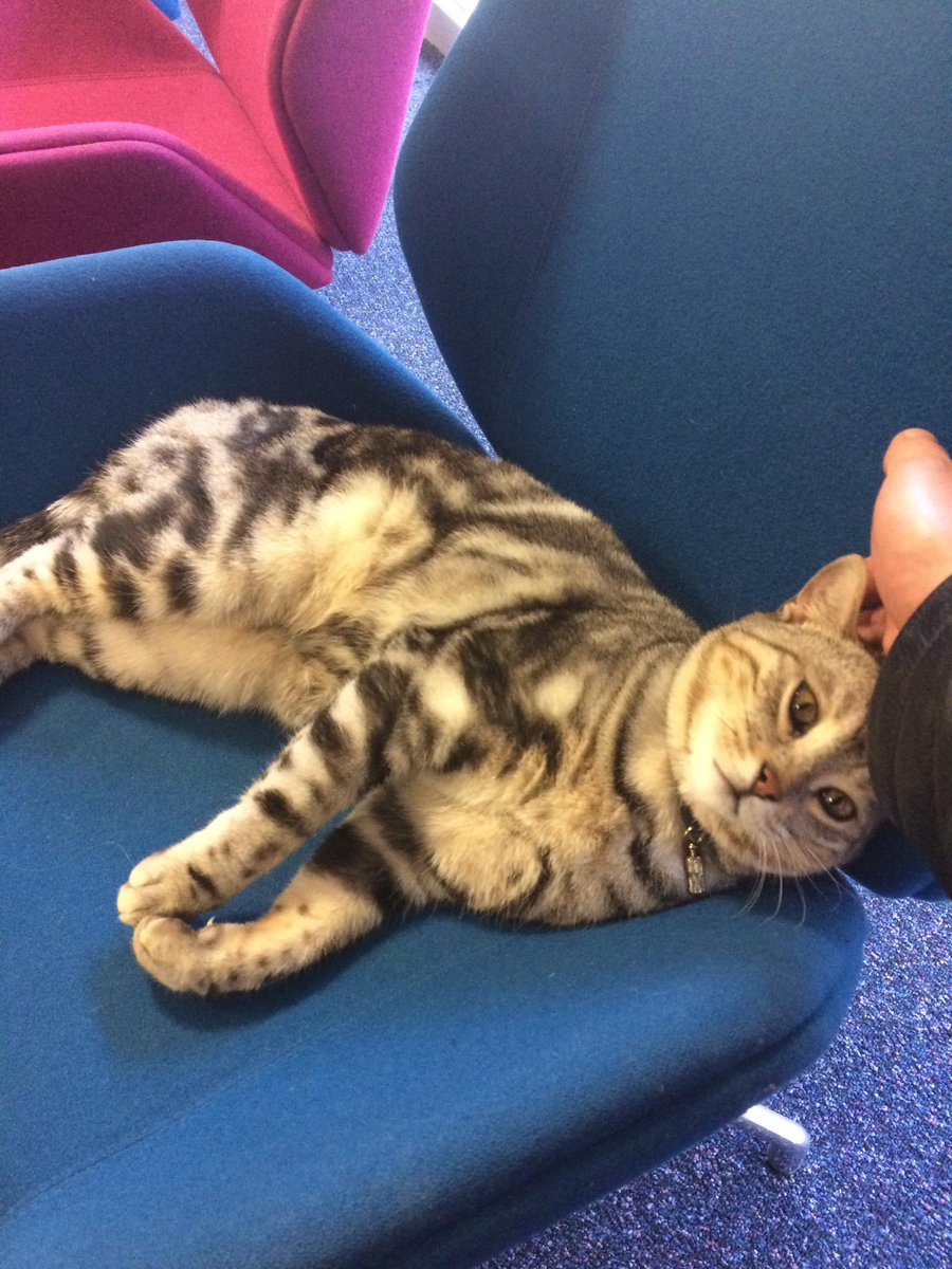 Mordd's tweet image. Keeping warm and advising on mortgages in Nationwide. #dexspot